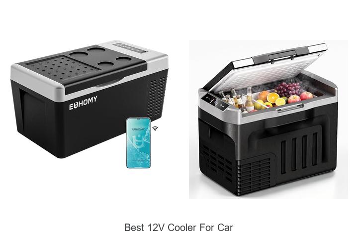 best 12v cooler for car