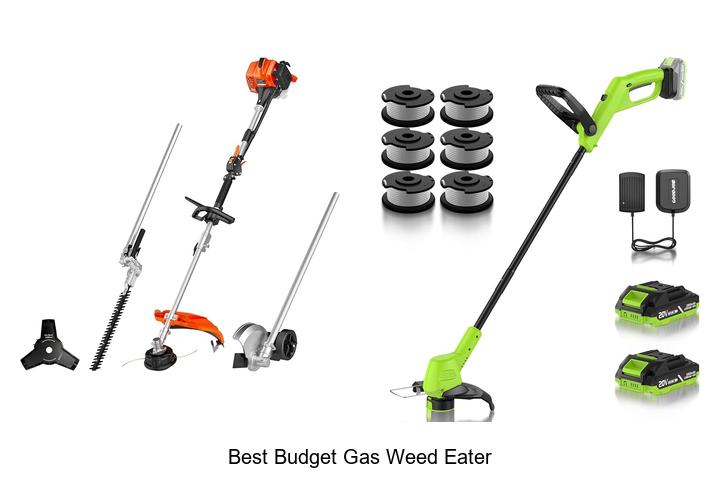 best budget gas weed eater