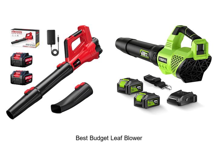 best budget leaf blower