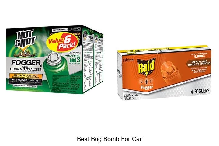 best bug bomb for car