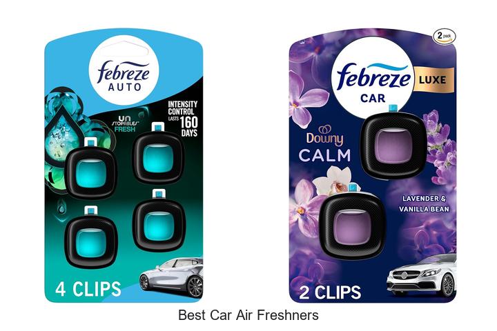 best car air freshners