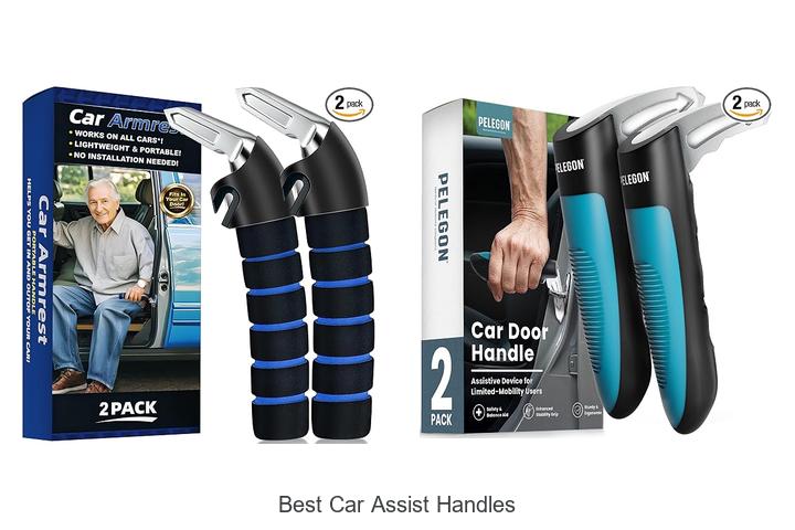 best car assist handles