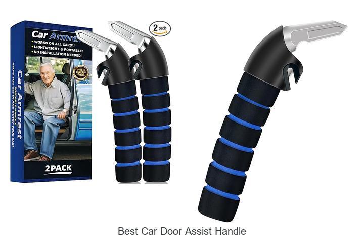 best car door assist handle