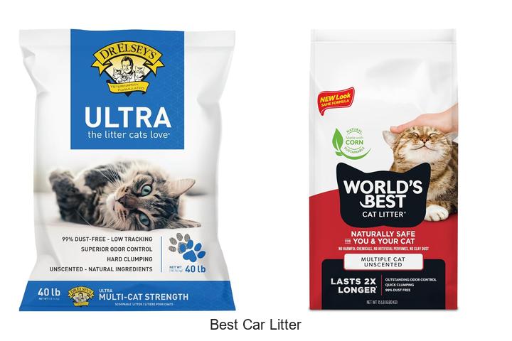 best car litter