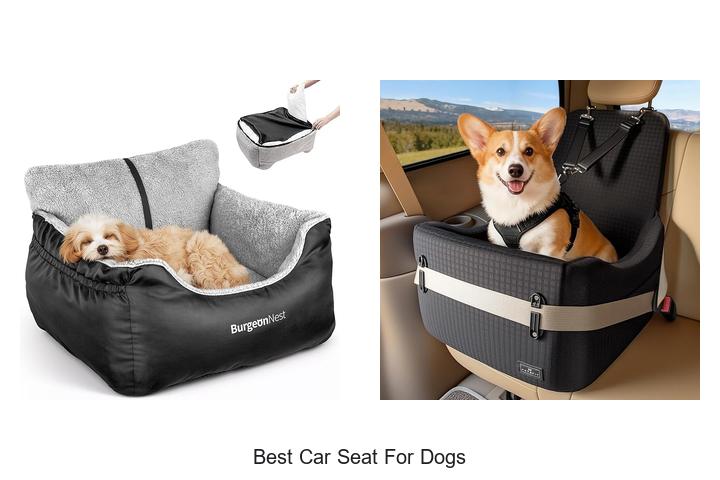 best car seat for dogs