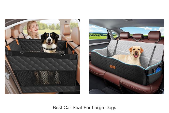 best car seat for large dogs