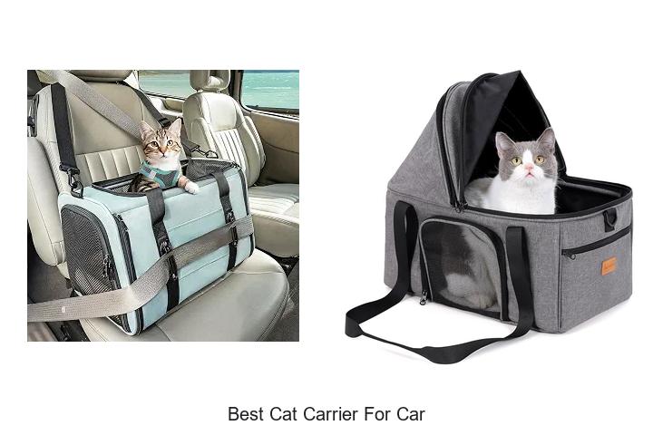 best cat carrier for car
