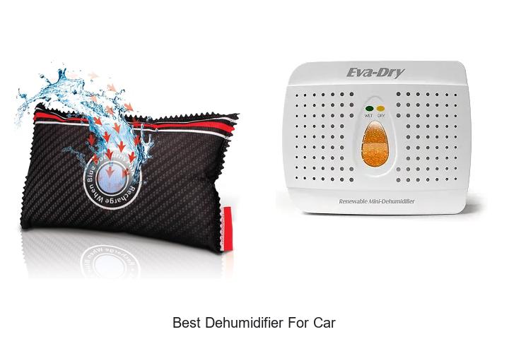 best dehumidifier for car