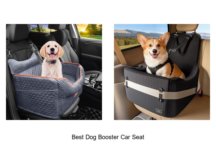 best dog booster car seat