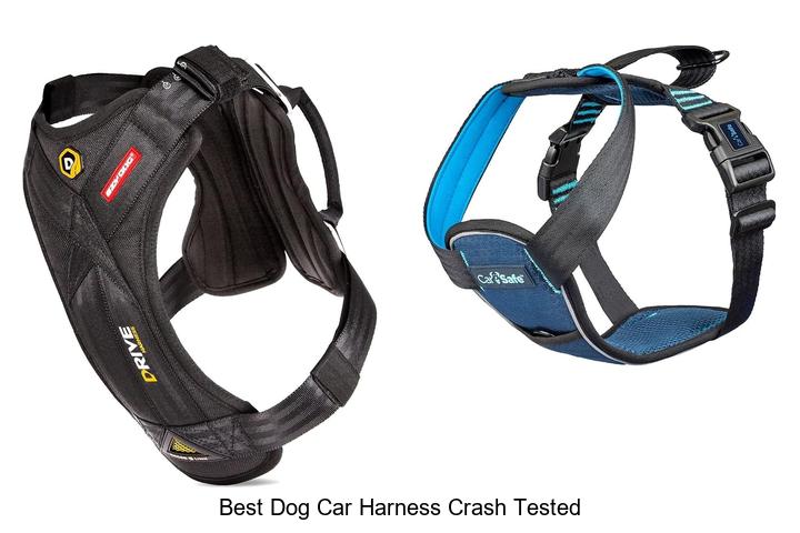 best dog car harness crash tested
