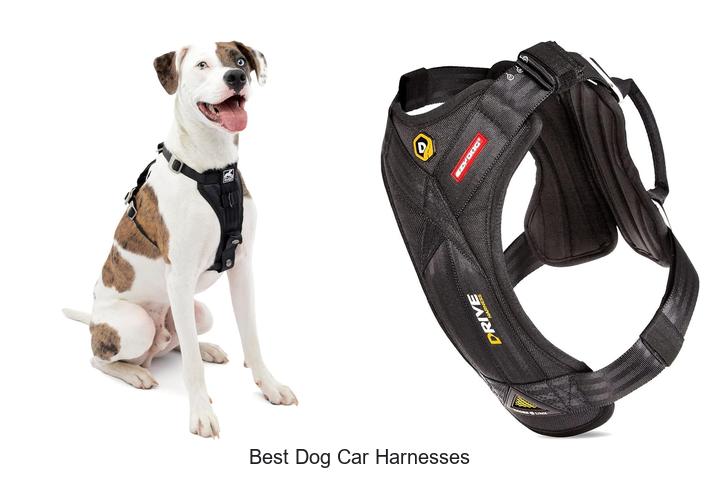 best dog car harnesses