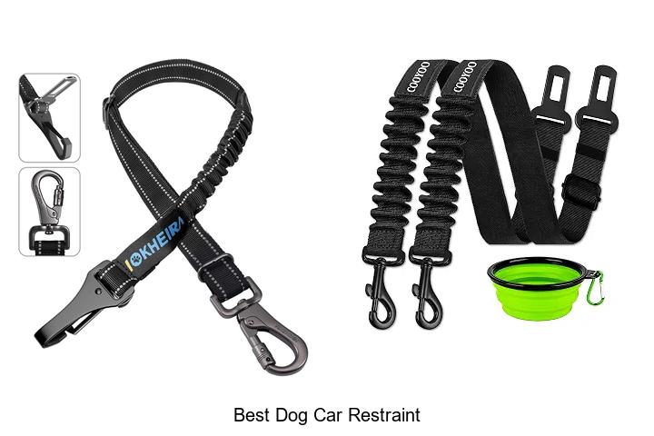 best dog car restraint