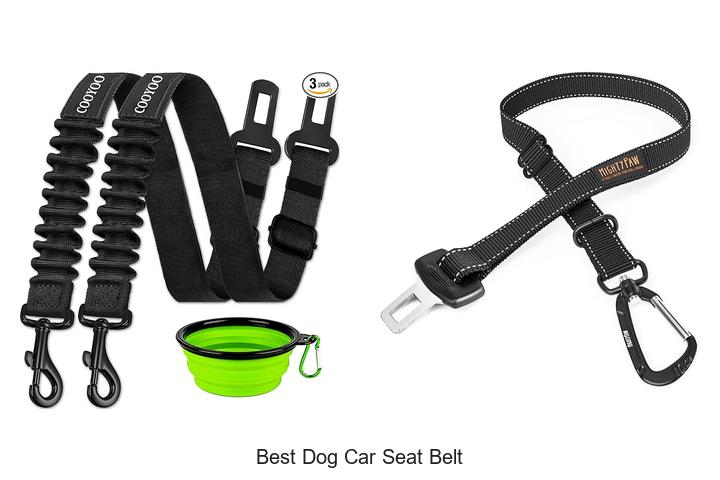 best dog car seat belt