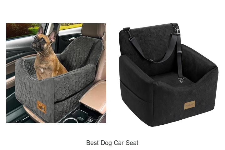 best dog car seat