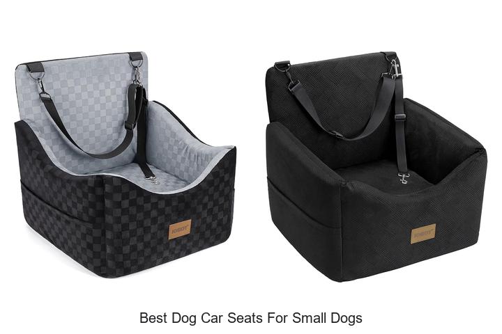 best dog car seats for small dogs