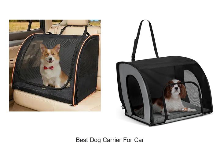 best dog carrier for car