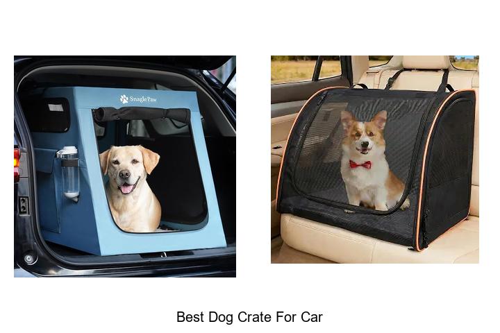 best dog crate for car