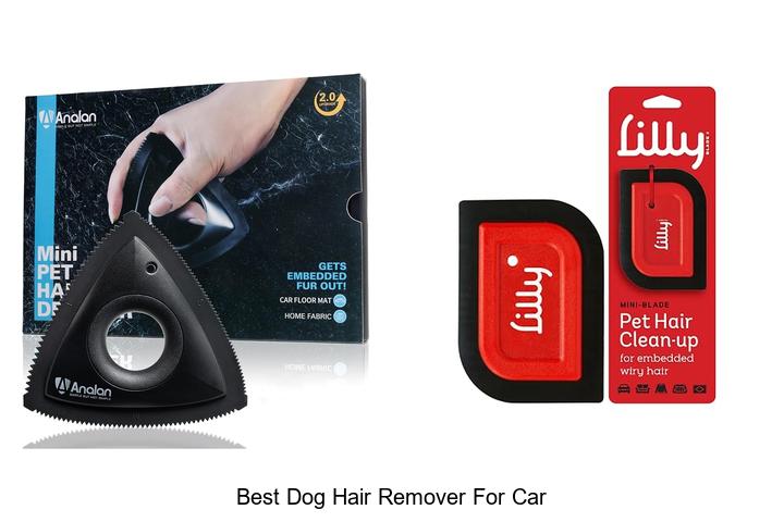 best dog hair remover for car
