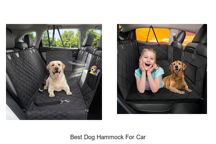 best dog hammock for car