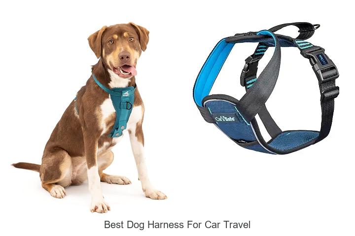 best dog harness for car travel