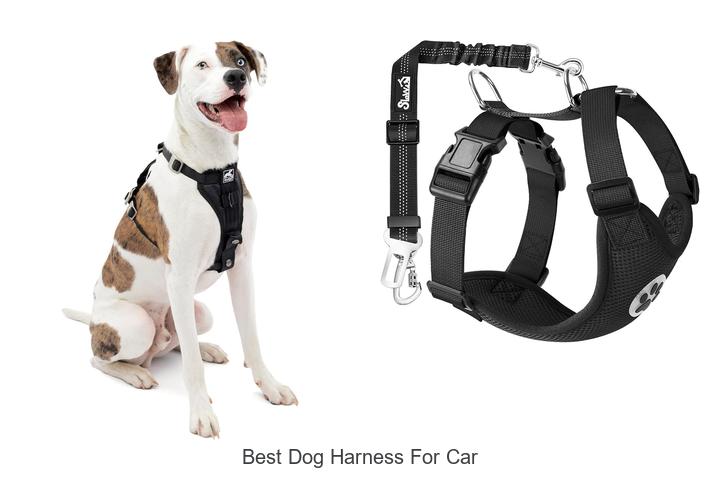 best dog harness for car