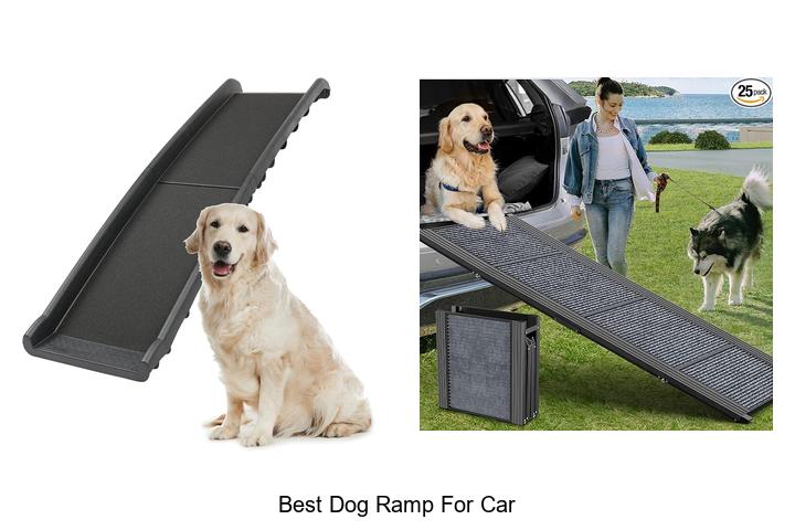 best dog ramp for car