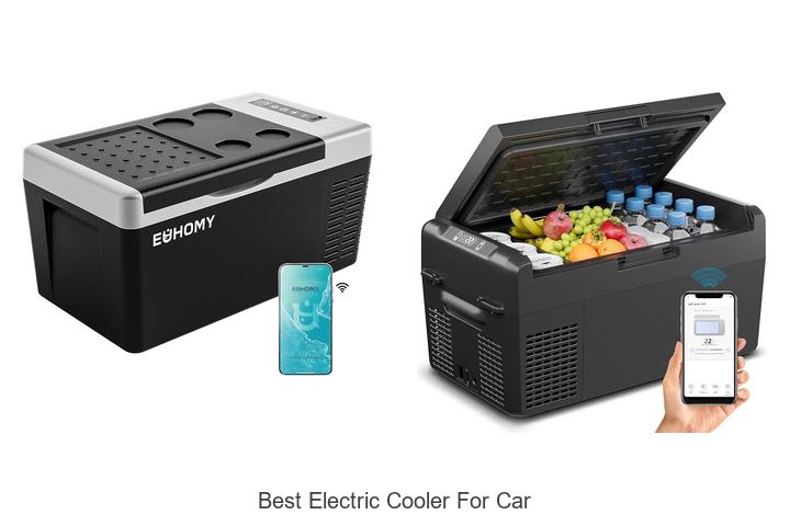 best electric cooler for car