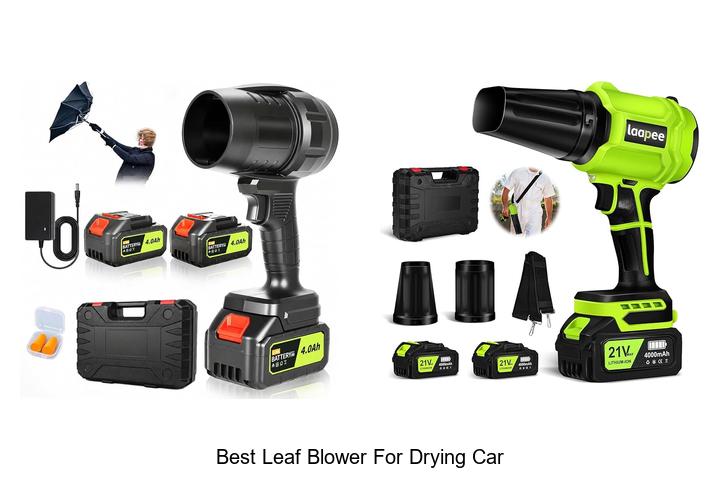 best leaf blower for drying car