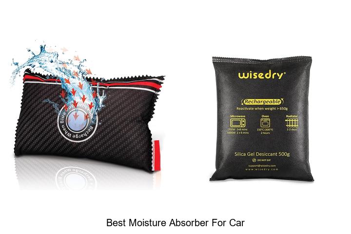 best moisture absorber for car