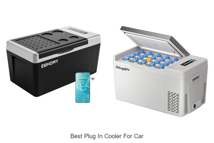 best plug in cooler for car