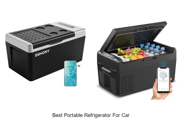 best portable refrigerator for car