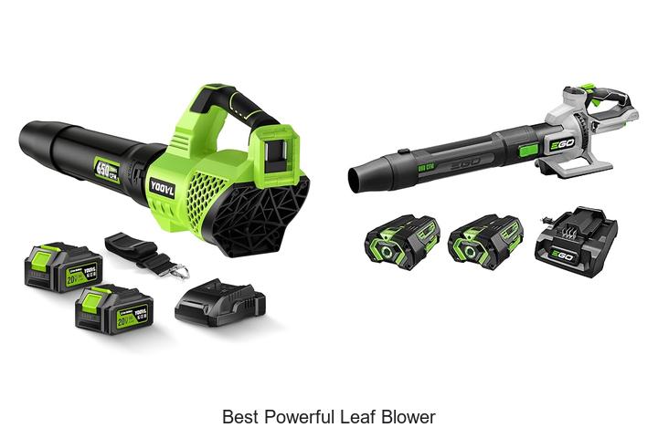best powerful leaf blower