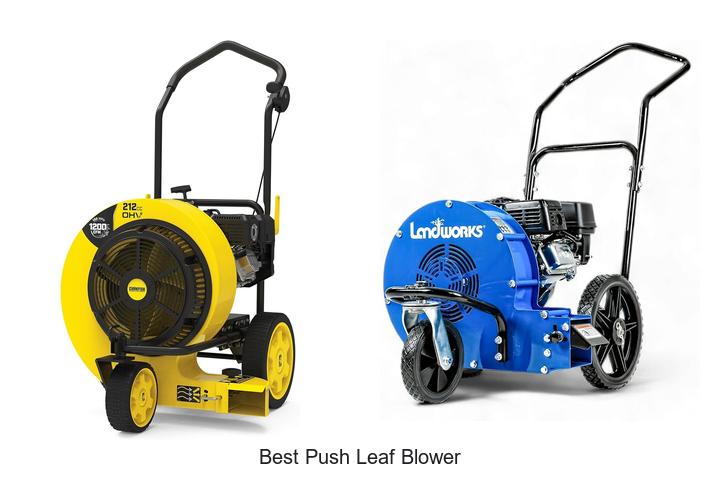 best push leaf blower