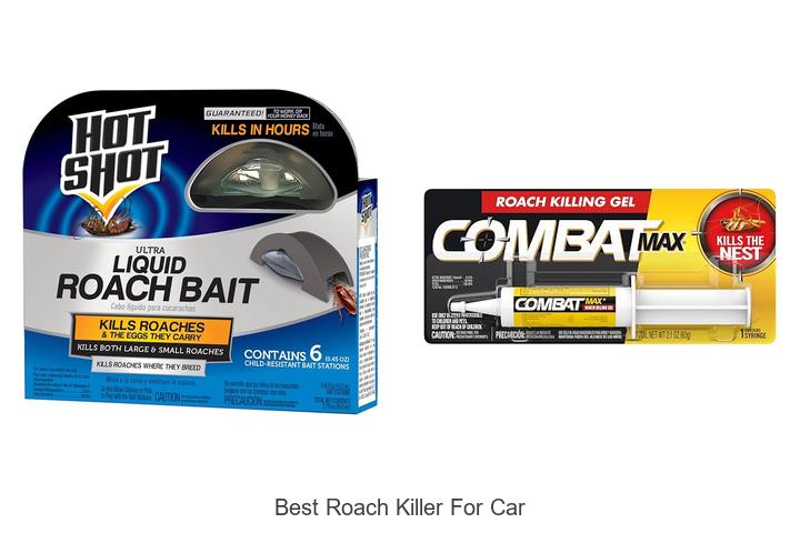 best roach killer for car