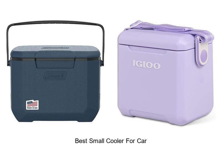 best small cooler for car