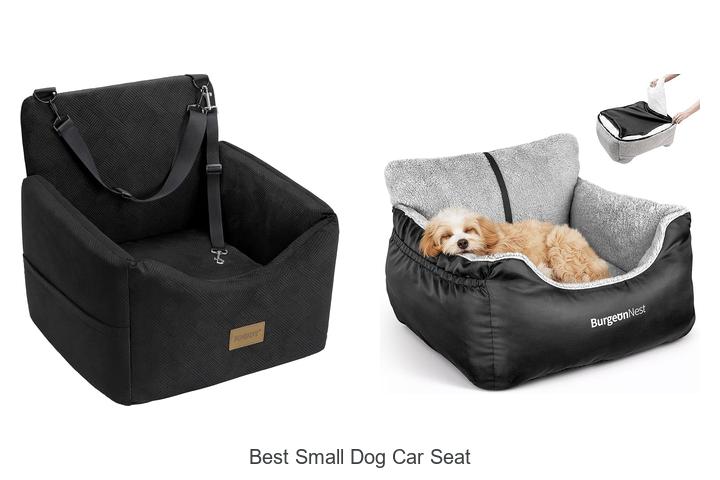 best small dog car seat