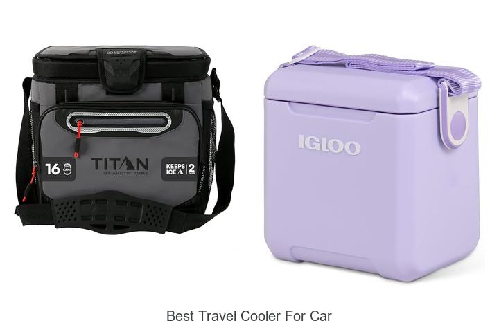 best travel cooler for car