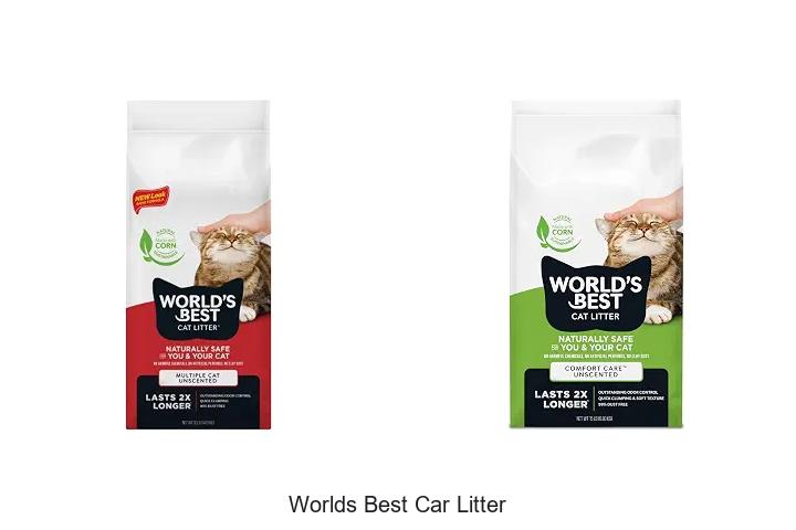 worlds best car litter